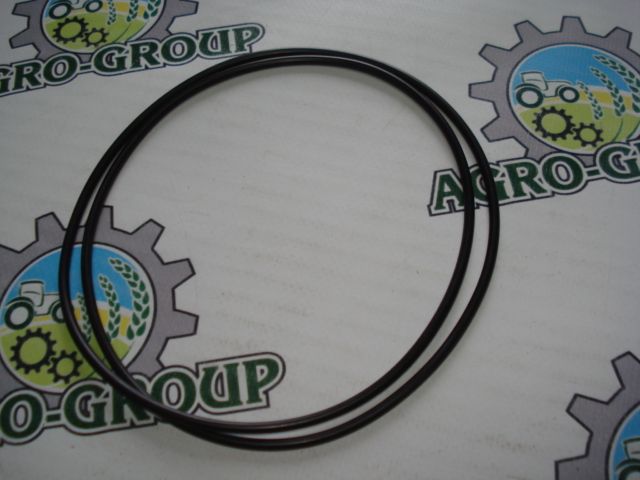 N306339 Сальник