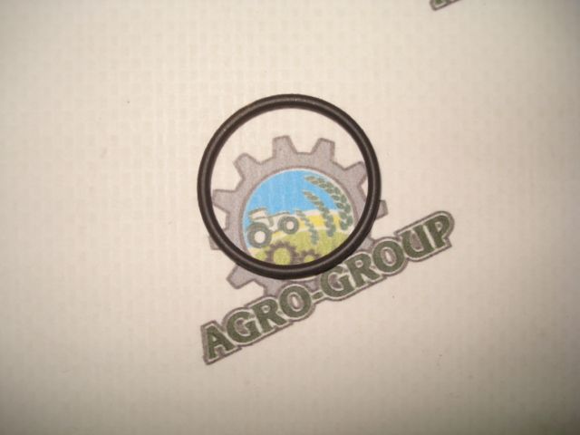 R116031 Сальник