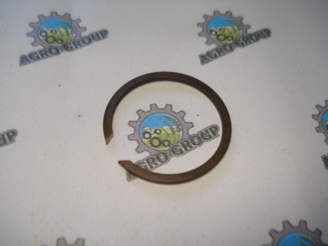 R48750 Пружинне кільце