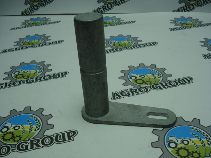 WZW0010458 Кріплення із штіфтом