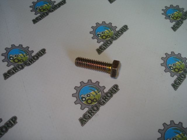 19H2117 Гвинт з головкою