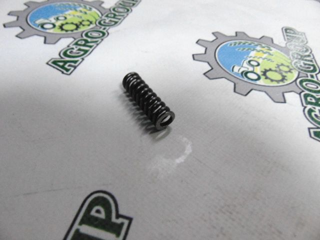 N302131 Пружина