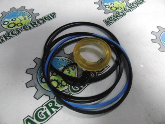 RE36976 Ремкомплект гідроциліндра